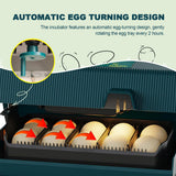 Egg Incubator