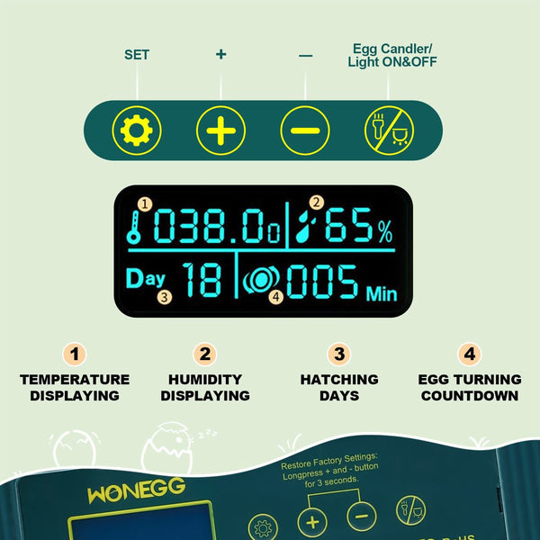 Egg Incubator