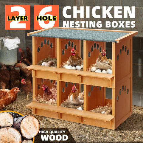Chicken Nesting Box