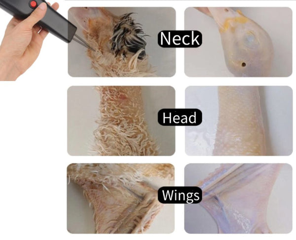 Chicken Plucker Machine Poultry Feather Plucker