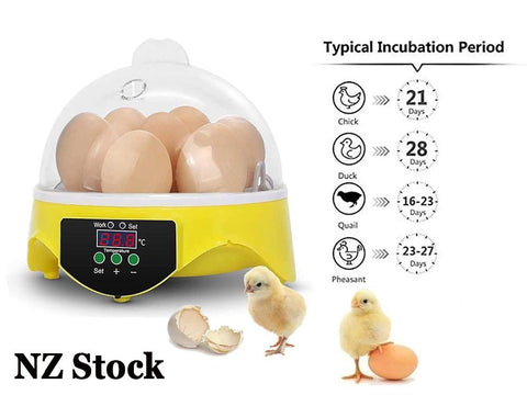 Automatic Egg Incubator