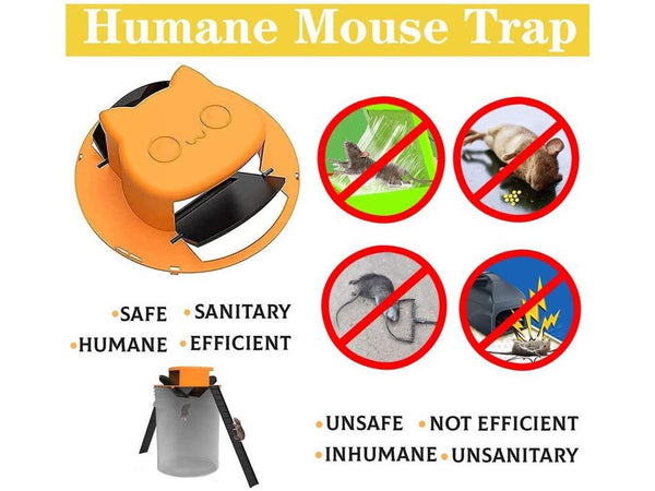 Rat Trap