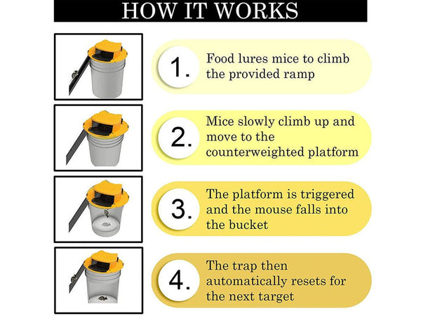 Rat Trap
