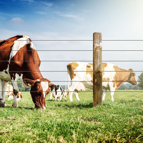 Electric Fence Energiser Charger Mains Fencing Energizer