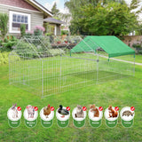 Chicken Coop Run Rabbit