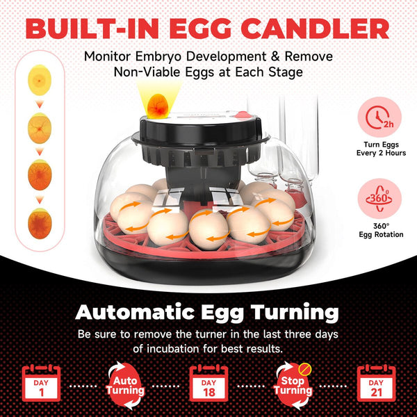 Egg Incubator Automatic