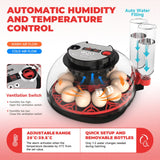 Egg Incubator Automatic