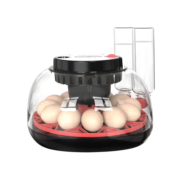 Egg Incubator Automatic
