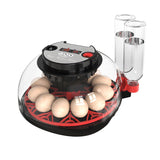 Egg Incubator Automatic