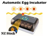 Automatic Egg Incubator