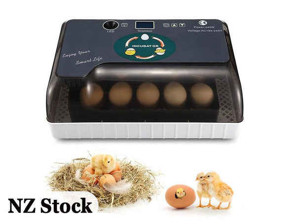 Automatic Egg Incubator