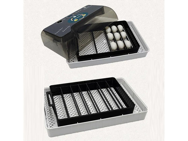 Automatic Egg Incubator