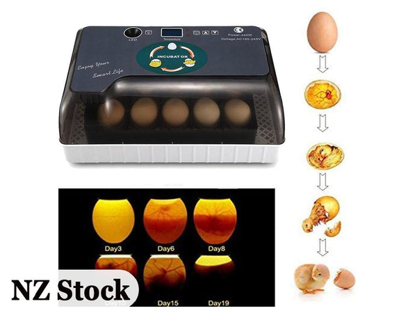 Automatic Egg Incubator