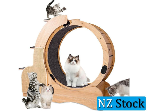 Cat Wheel Running Toy Exerciser