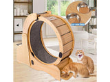 Cat Wheel Running Toy Exerciser