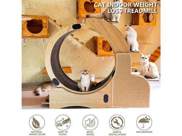 Cat Wheel Running Toy Exerciser
