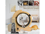 Cat Wheel Running Toy Exerciser