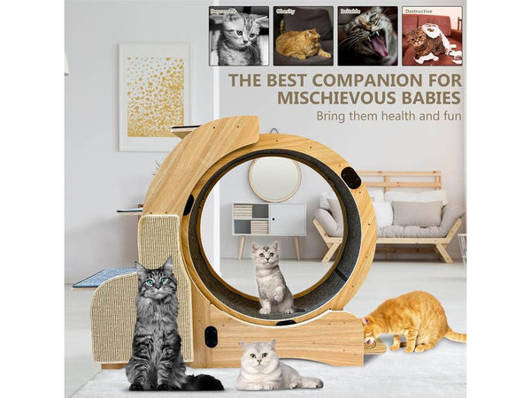 Cat Wheel Running Toy Exerciser