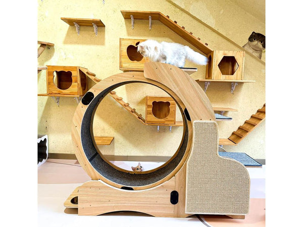 Cat Wheel Running Toy Exerciser