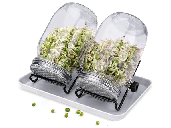2-Pack Mason Jar Growing Sprouting Kit with Stainless Steel Mesh Lids and Stands