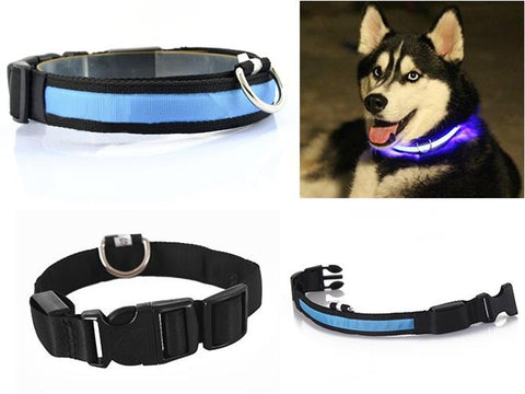 LED Dog Pet Flashing Light Up Safety Collar Blue S
