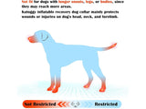 Protective Inflatable Collar for Dogs and Cats