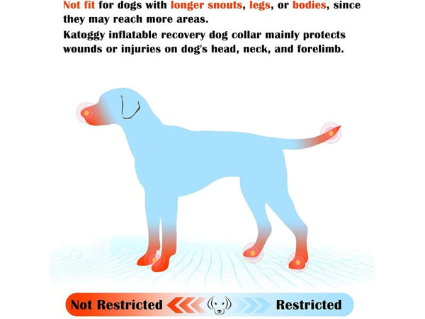 Protective Inflatable Collar for Dogs and Cats