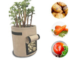 Potato Growing Bag Planting Spuds Tomatoes in Bags