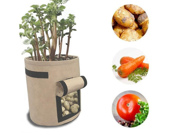 Potato Growing Bag Planting Spuds Tomatoes in Bags