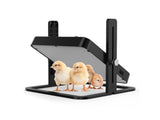 Chick Brooder Heater NZ | Adjustable Temp & Height for 15 Chicks