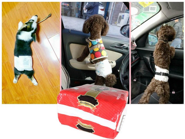 Male Dog Wrap Diapers 10pcs - M