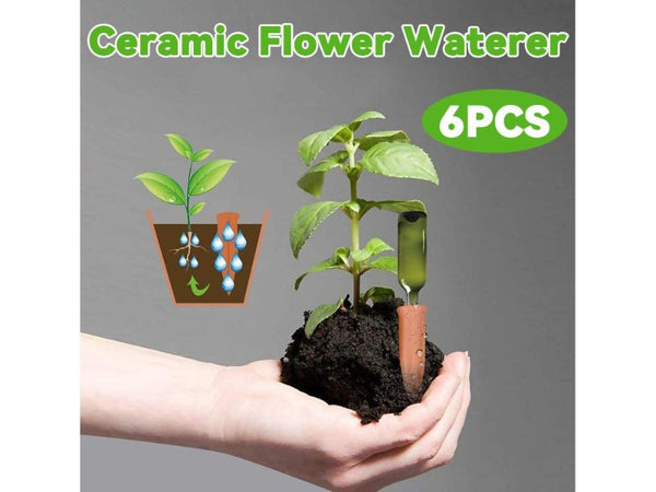 6pcs Self Watering Spikes Plant Watering Device