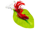 Betta Bed Leaf Hammock