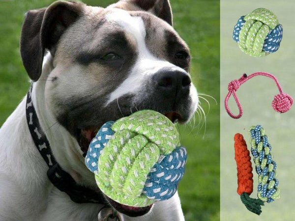 Pack of 10 Dog Toy Set Pet Dog Rope Gift Chew Cotton Plush