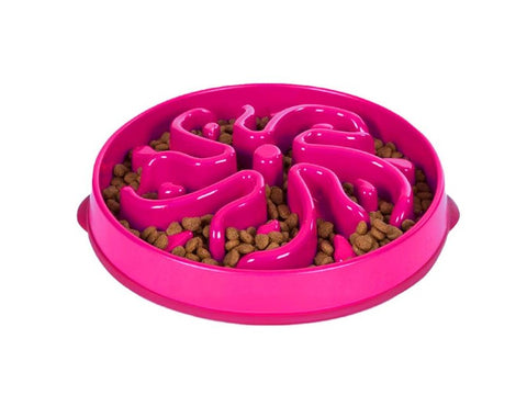 Dog Slow Feeder