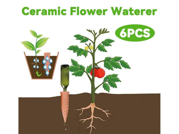 6pcs Self Watering Spikes Plant Watering Device
