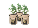 Potato Growing Bag Planting Spuds Tomatoes in Bags