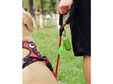 Lavender Scented Dog Poop Bags with Dispenser & Leash Clip