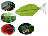 Betta Bed Leaf Hammock