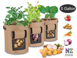 Potato Growing Bag Planting Spuds Tomatoes in Bags