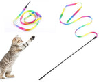 Rainbow Cat Teaser Toy