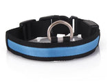 LED Dog Pet Flashing Light Up Safety Collar Blue S