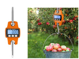 Crane Scale Digital Scales 300kg/660LB