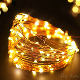 20 LED String Copper Wire Fairy Lights Battery Waterproof