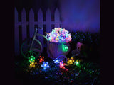 Solar Lights Outdoor Lights