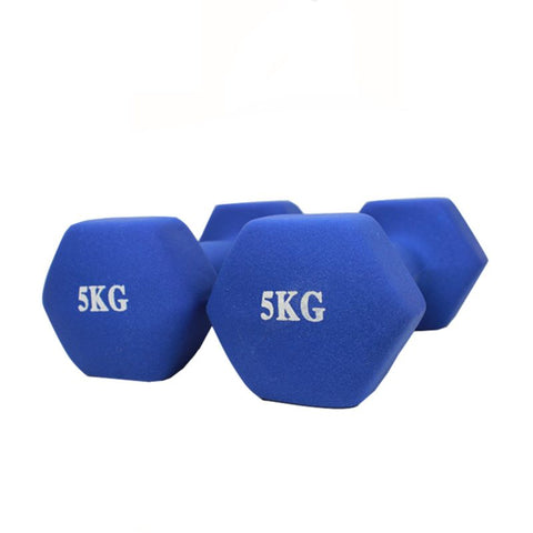 Dumbbell Dumbbells 5KG x 2