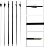 Fiberglass Arrows 6pcs