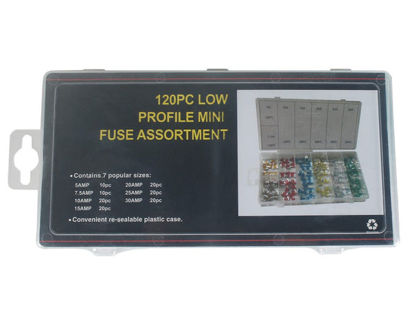 120PCS Car Truck Boat Fuse Assortment Kit