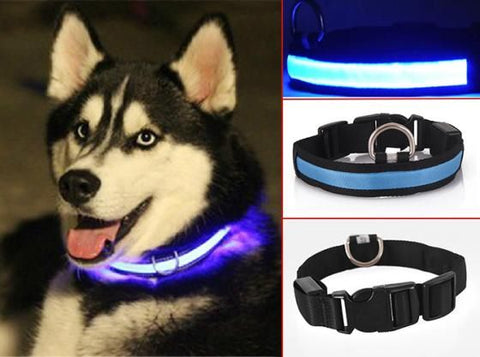 Dog Collar