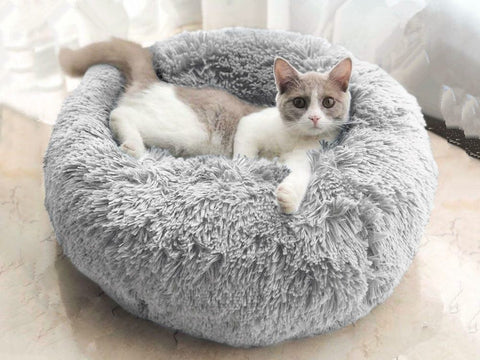 Cat Bed